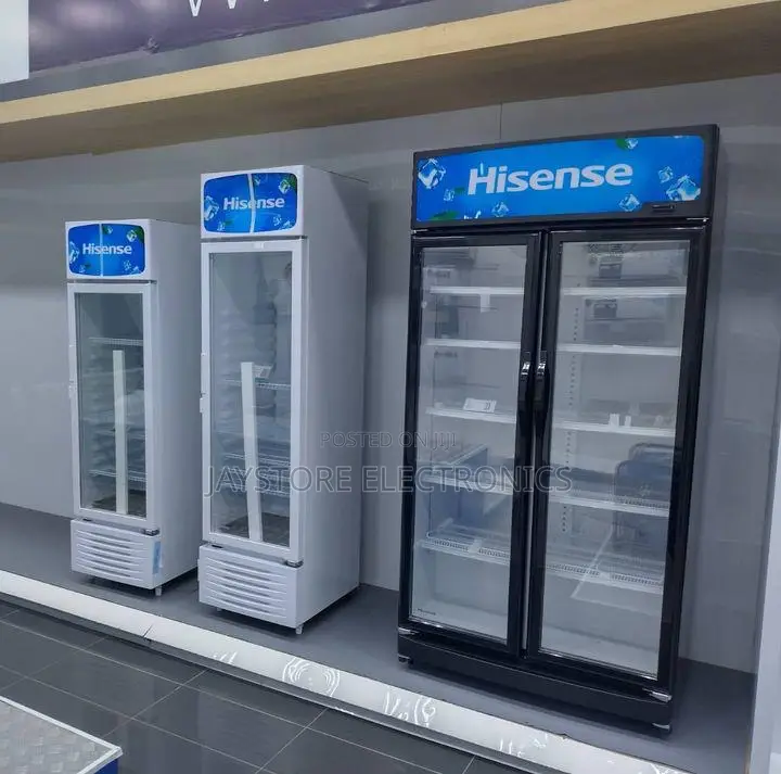 Hisense Showcase Chillers 282l