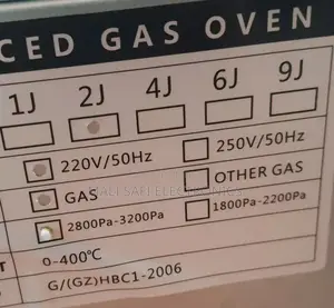 Industrial Gas Oven