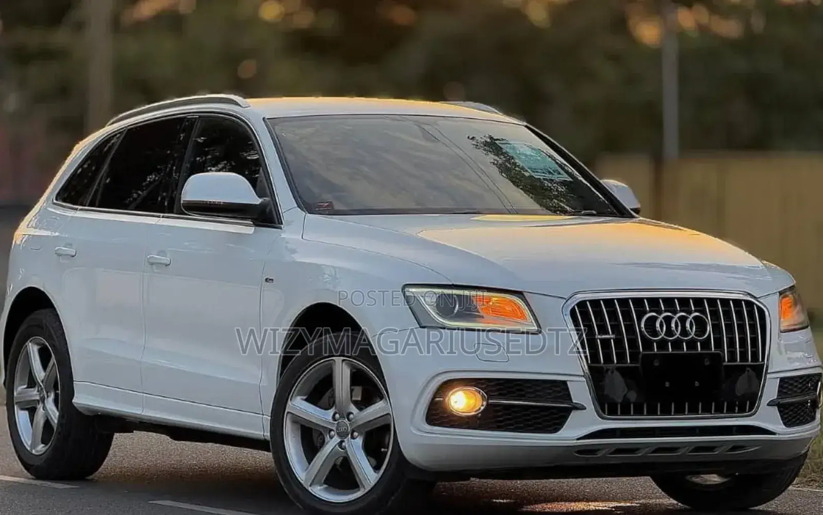 Audi Q5 2015 Pearl