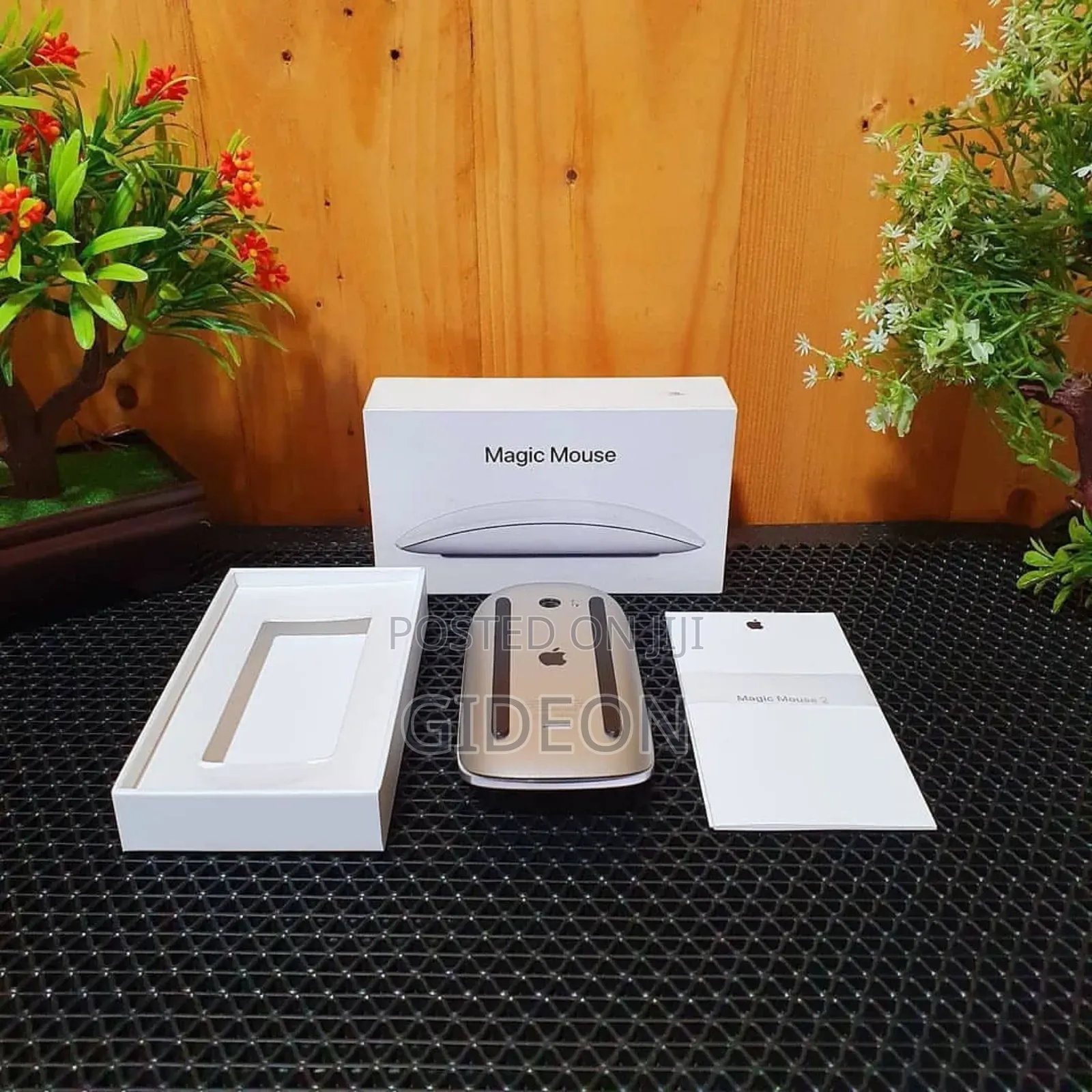 Magic Mouse (White)