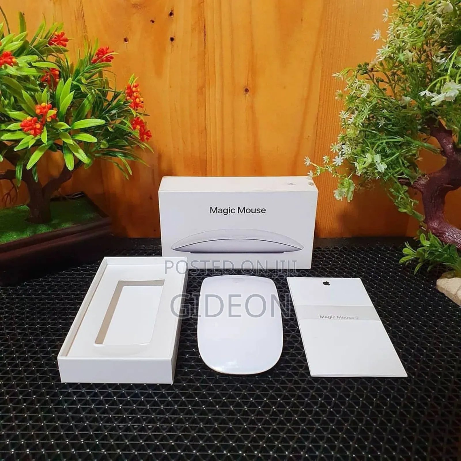 Magic Mouse (White)