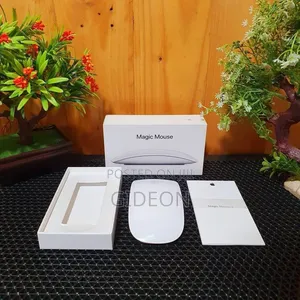 Magic Mouse (White)