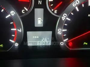 Toyota Vellfire 2009 Gray