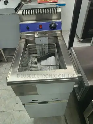 Commercial Gas Fryer