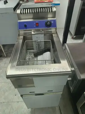 Commercial Gas Fryer