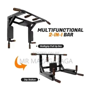 Wall Mounted Pull Up Bar