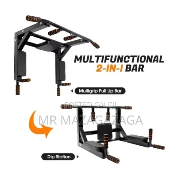 Wall Mounted Pull Up Bar