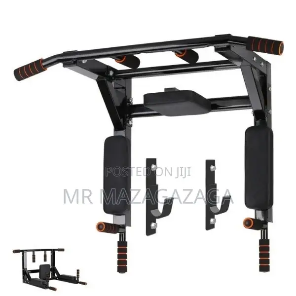 Wall Mounted Pull Up Bar