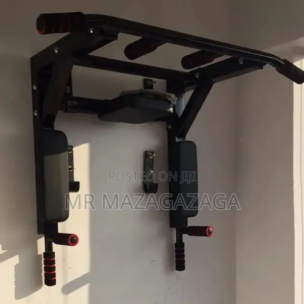 Wall Mounted Pull Up Bar