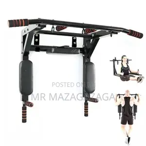 Wall Mounted Pull Up Bar