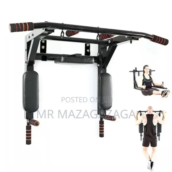Wall Mounted Pull Up Bar