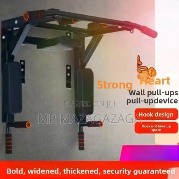 Wall Mounted Pull Up Bar