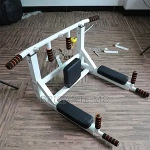 Photo - Wall Mounted Pull Up Bar