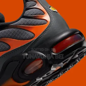 Nike Air Max Plus / Gray Orange /
