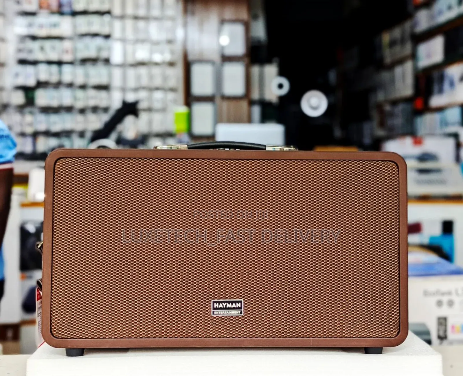 Hayman Karaoke Speaker With 2 Microphones