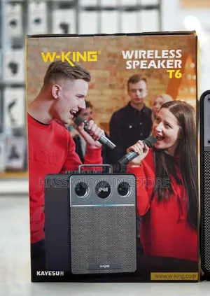 W King T6 Karaoke Wireless Speaker With 2 Microphones