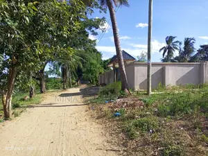 Eneo Linauzwa Kimara Korogwe Bei Nzuri Sana Na Eneo Ni Zuri