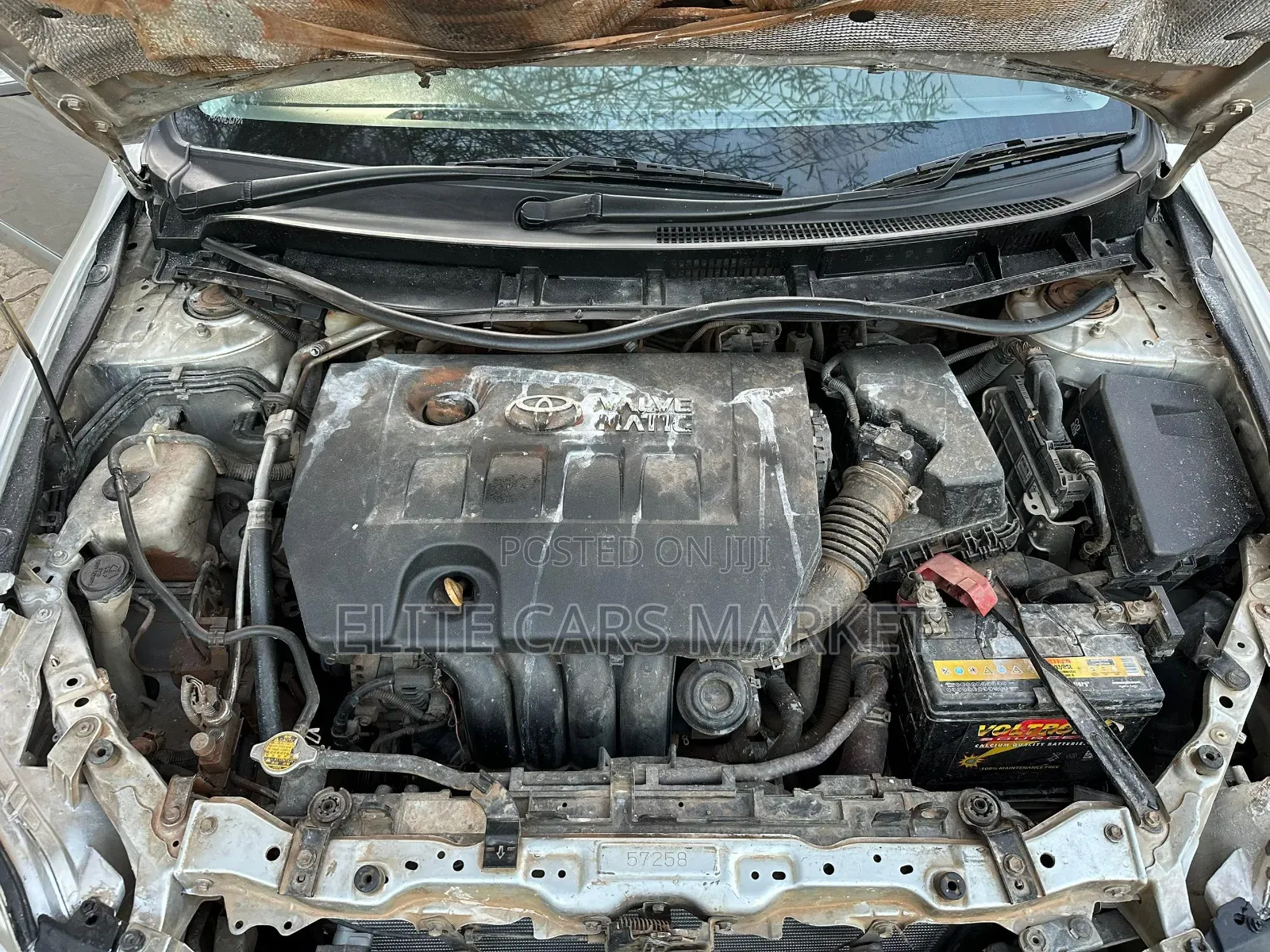 Toyota Premio 2010 Silver