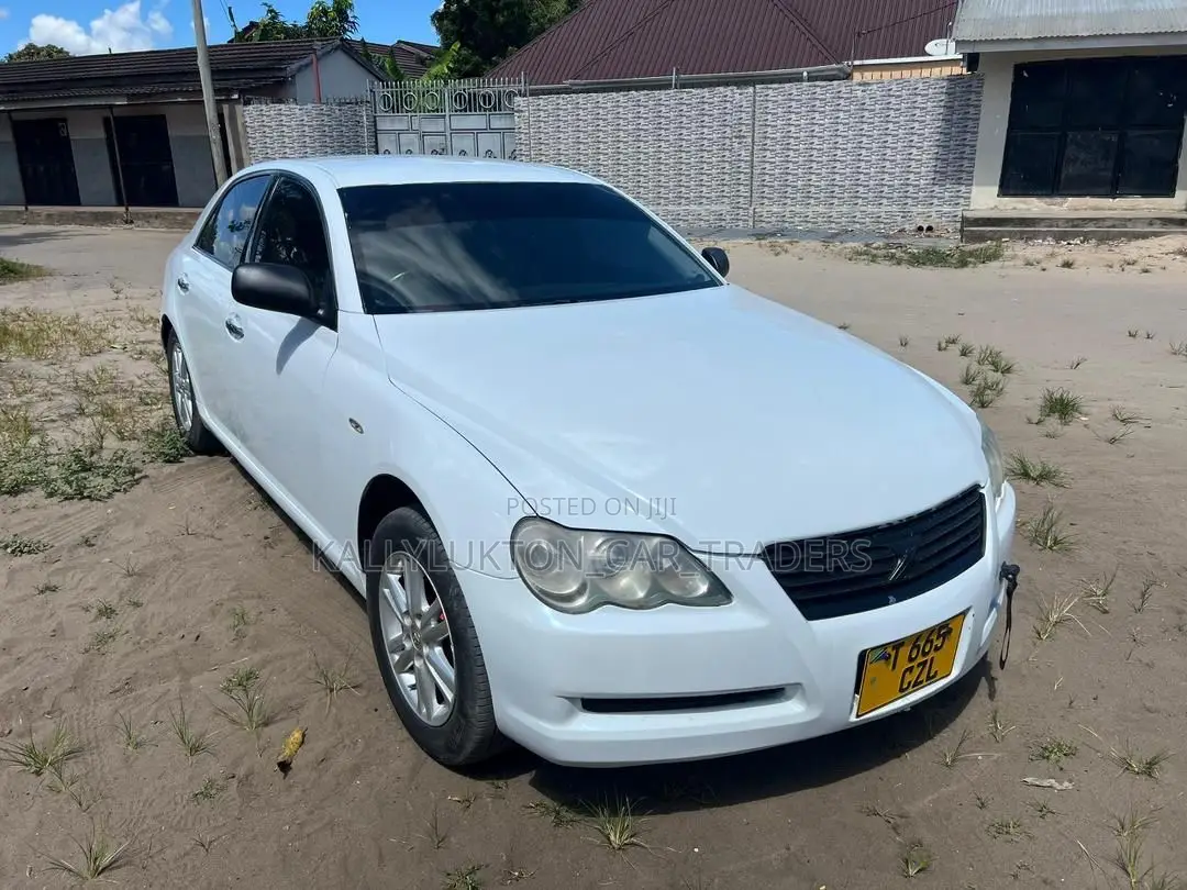 Toyota Mark X 2004 White