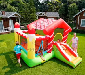 Inflatable Jumping Castle With Slide and Climbing