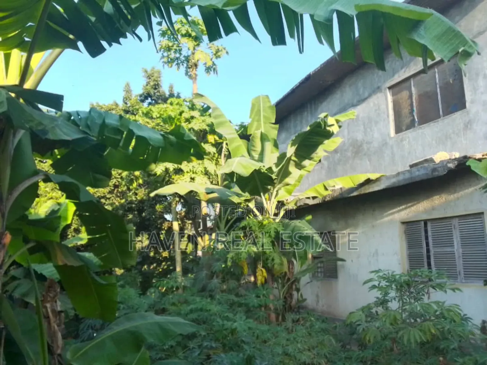 Eneo Linauzwa Zanzibar