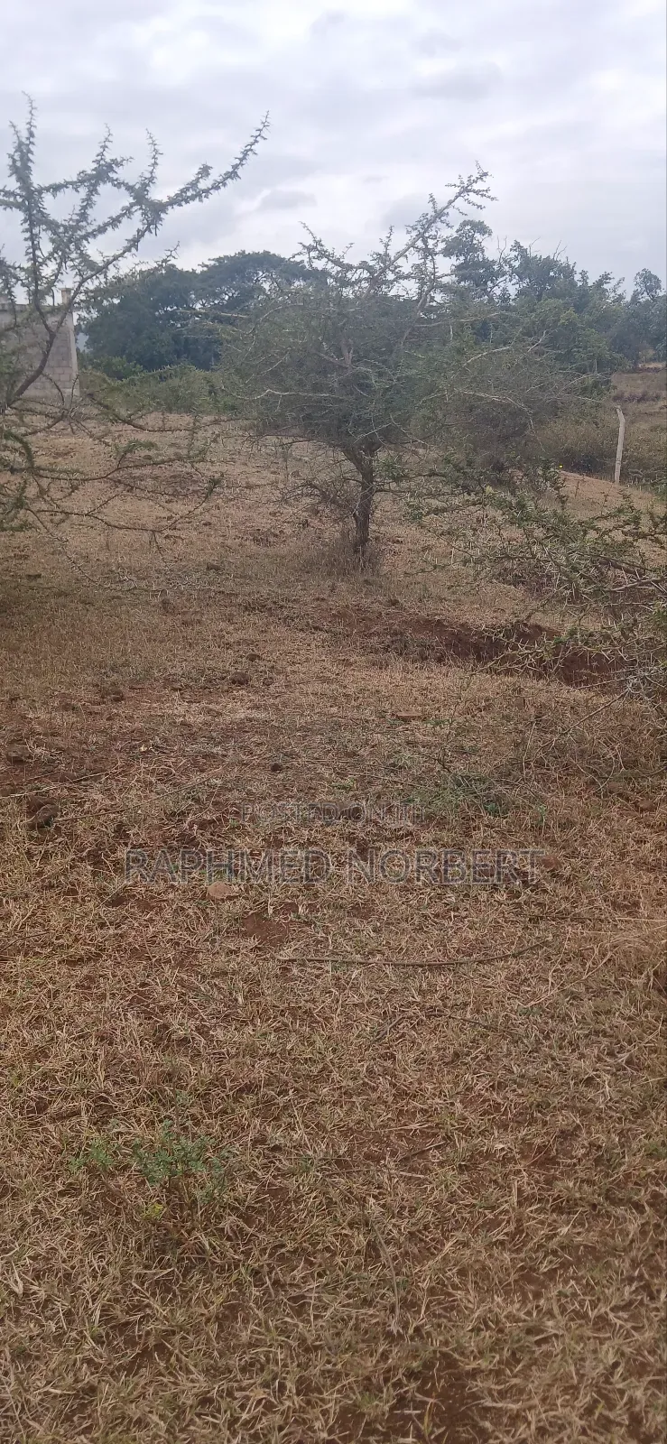 Plot for Sale in Njiro Atomic Area