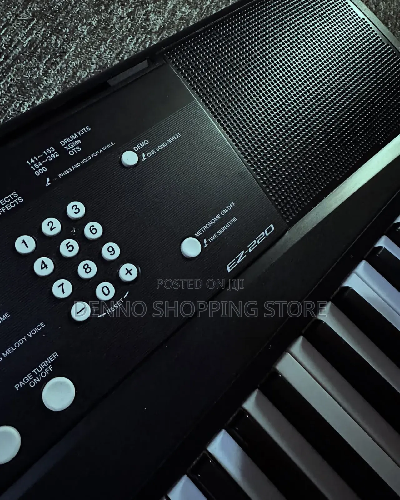 Yamaha Ez220