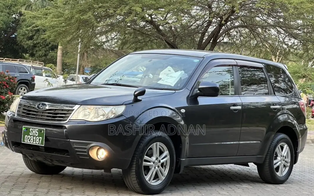 Subaru Forester 2009 Gray