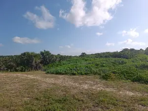 Beach Plot for Sale Kimbiji Dar Es Salaam