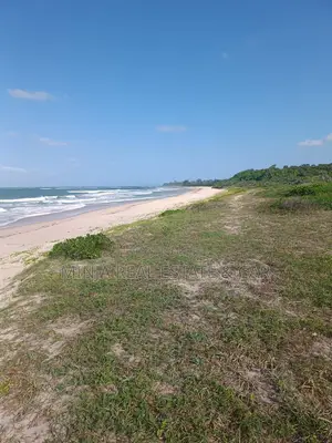 Beach Plot for Sale Kimbiji Dar Es Salaam