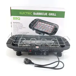 Electric Barbecue Grill