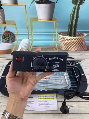 Portable Electric Barbecue Grill