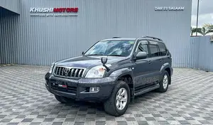 Toyota Land Cruiser Prado 2004 Gray