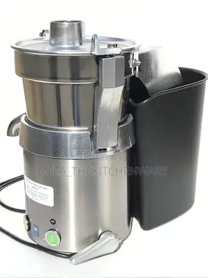 Commercial Electric Stainless Steel Juicer (Wf-A1000)