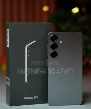 New Samsung Galaxy S25 512 GB Gray
