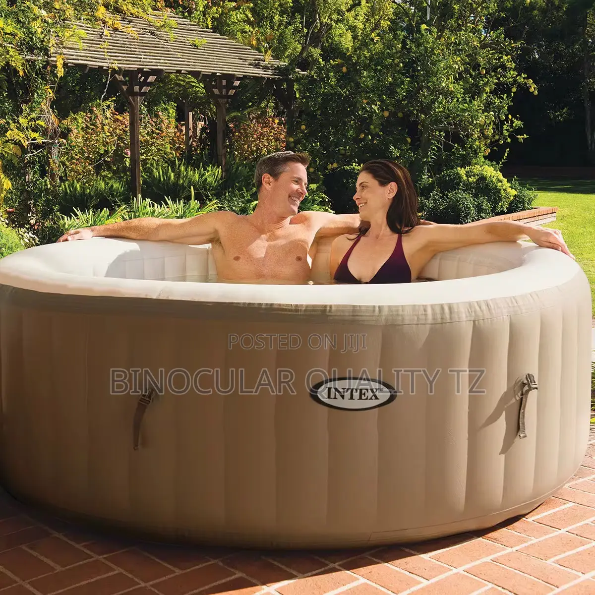 Intex Purespa