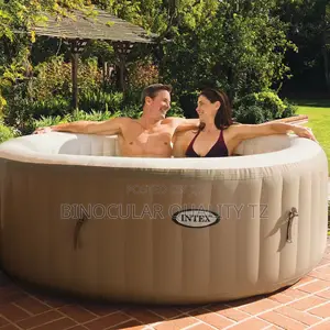 Intex Purespa