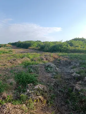 Photo - Plot for Sale Masaki Ownership