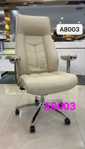 Reclining Ergonomic Chair