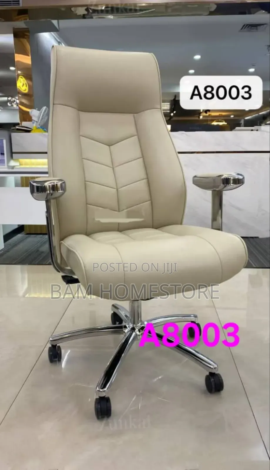 Reclining Ergonomic Chair