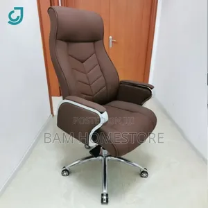 Reclining Ergonomic Chair