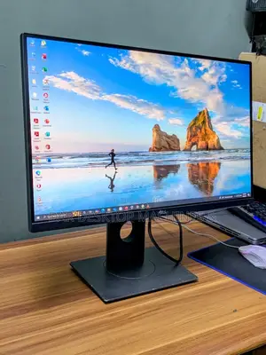 The Best Monitors