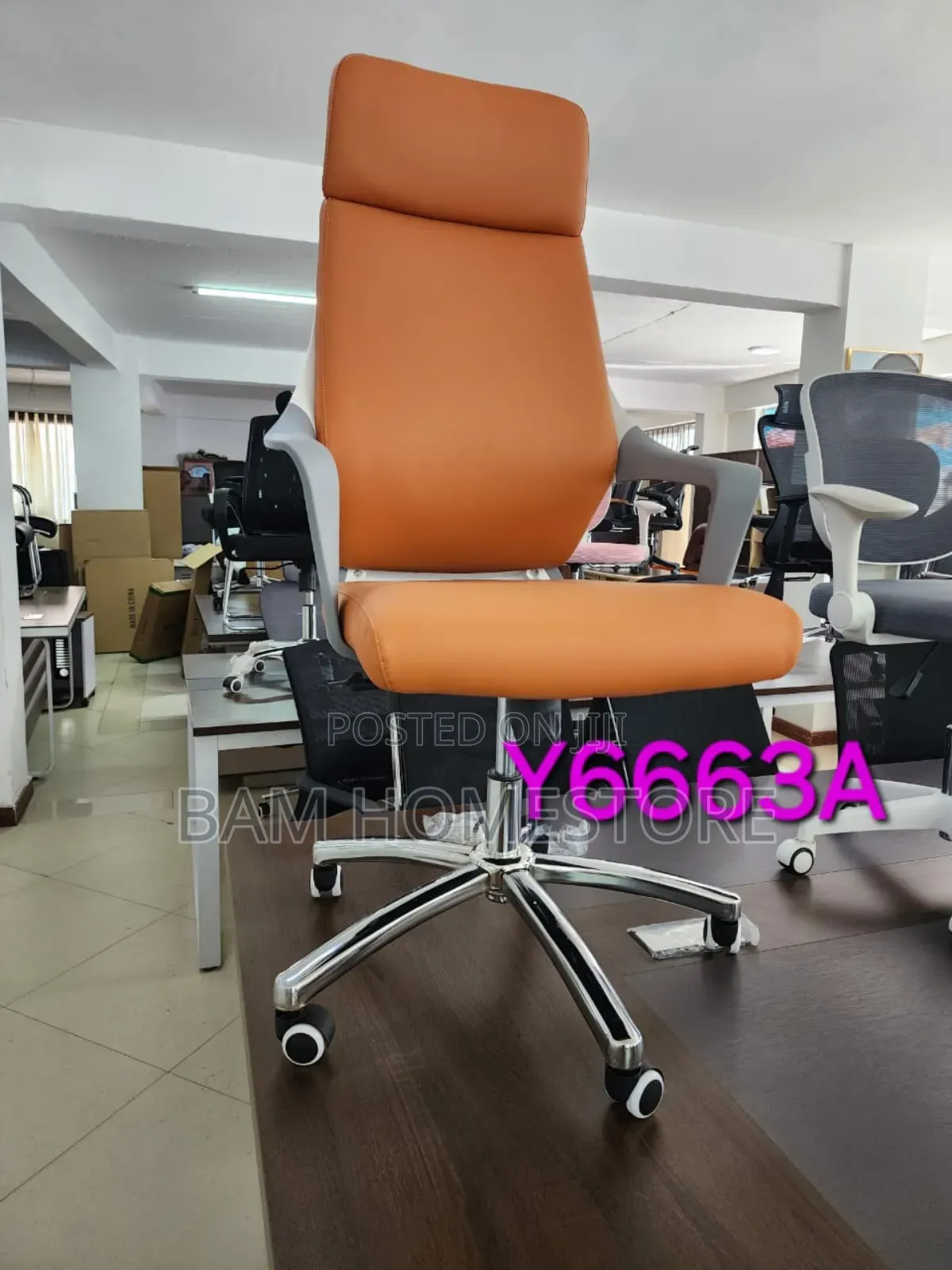 Multifunction Reclining Chair