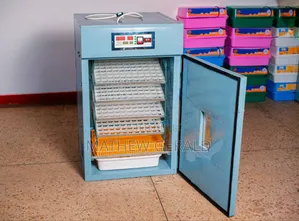 Eggs Incubator