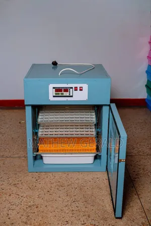 Eggs Incubator