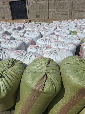 Sunflower Seeds Non Gmo