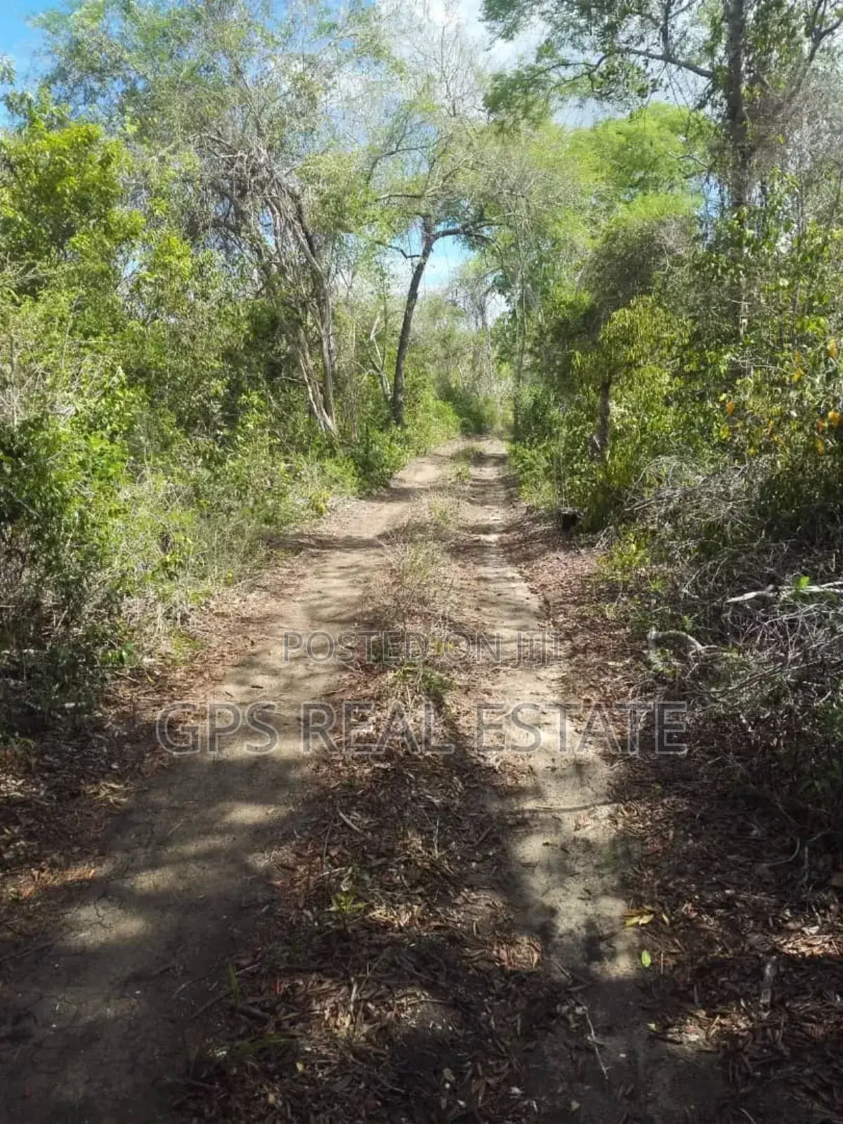 Limestone Rich Land for a Sale