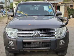 Mitsubishi Pajero 2010 Brown