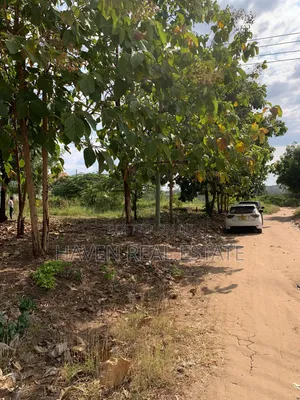 Sea View Plot for Sale at Bunju