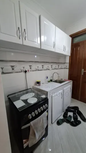 Mini Flat in Sinza Mori for rent